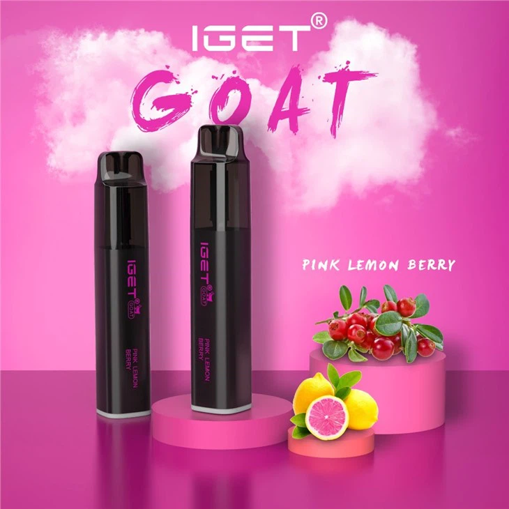 IGET Legend 4000 Puffs Fruit Flavor Disposable Cigarette Vape Pen IGET Bar